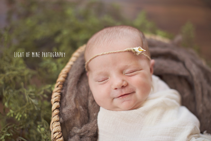 Camden NY Newborn Photographer