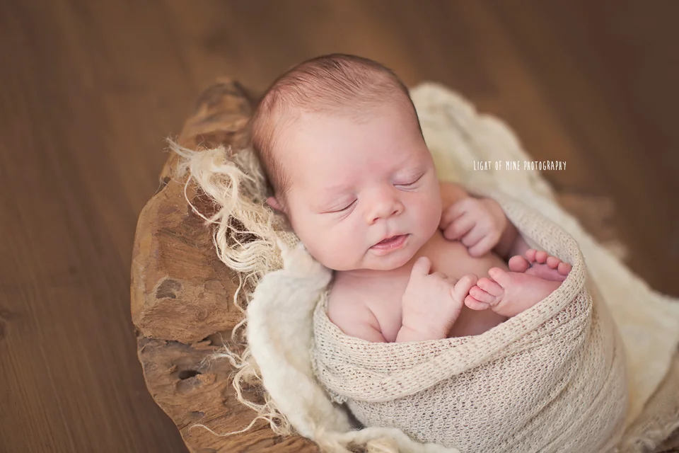 Camden NY newborn photographer
