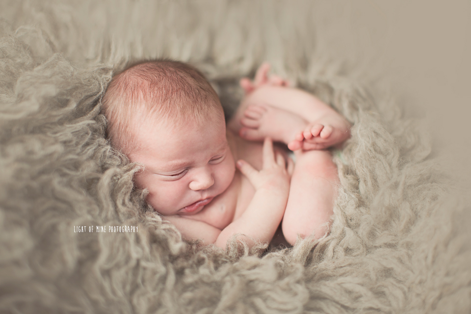 CNY Newborn Photography