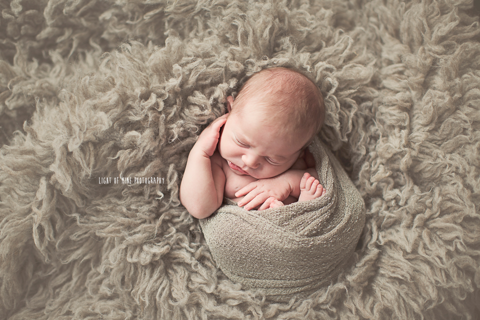 CNY Newborn Photography