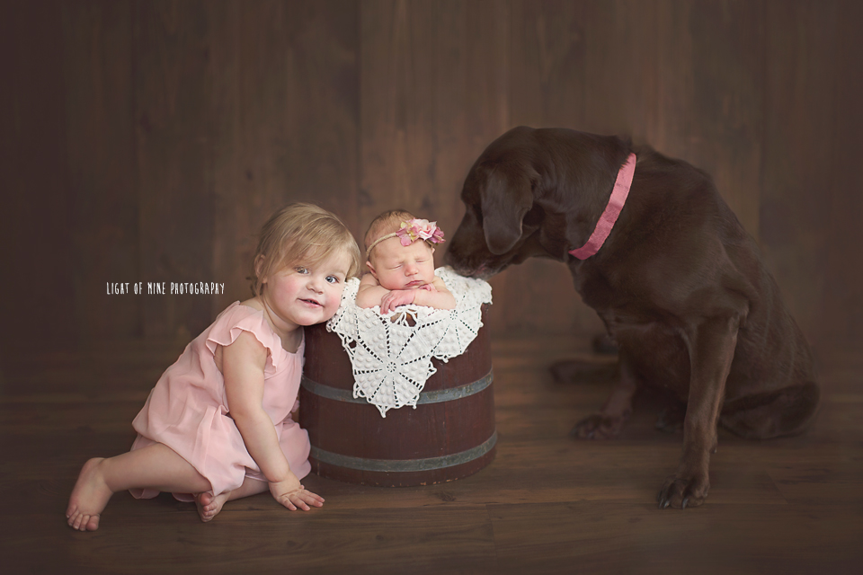 Syracuse NY Newborn Photographer