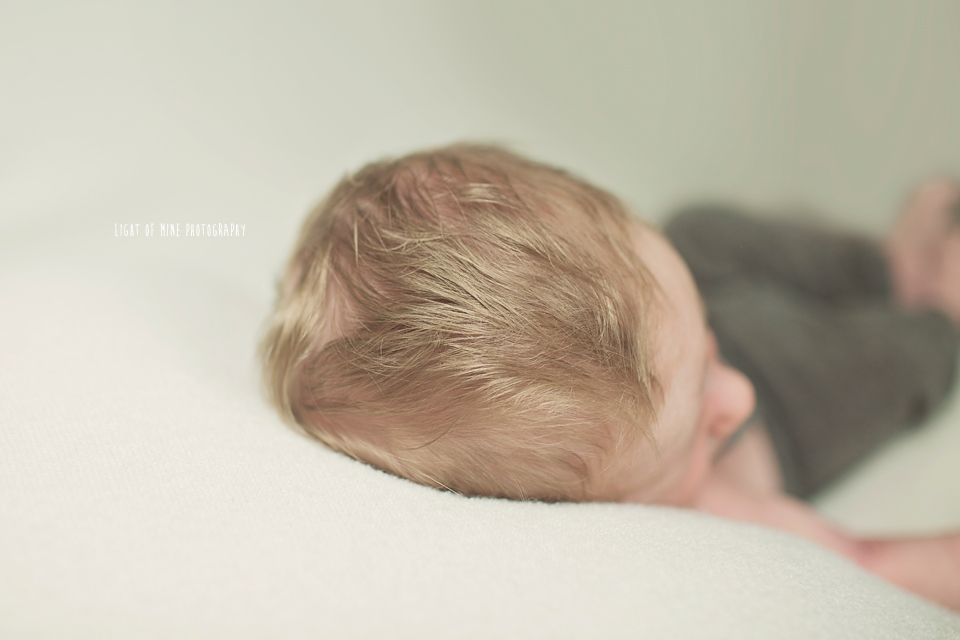 Camden NY Newborn Photographer