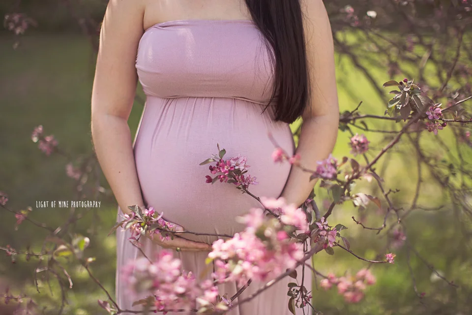 Camden NY Maternity Photographer