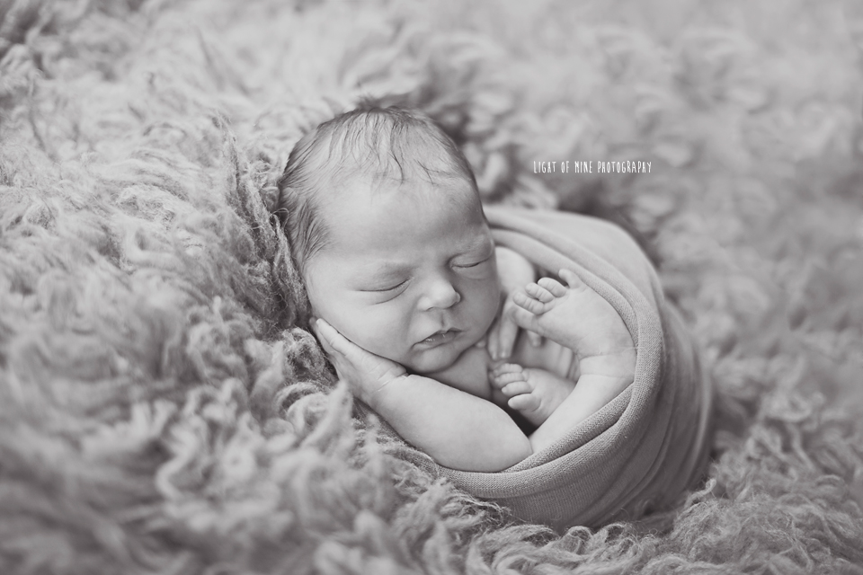 Camden NY Newborn Photographer