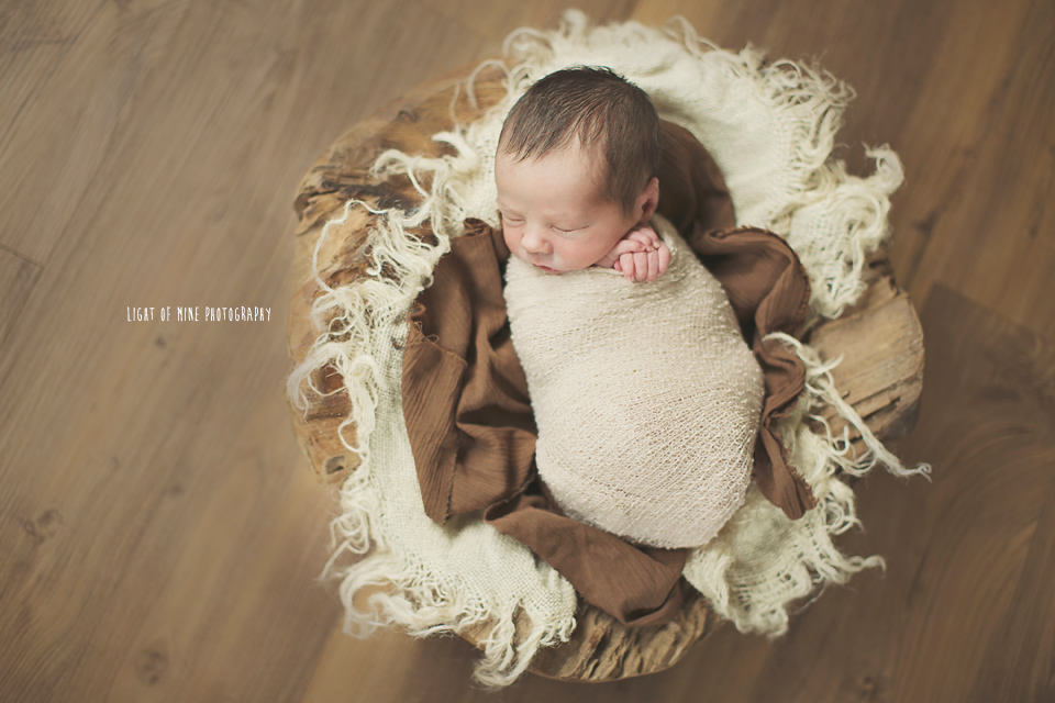 CNY Newborn Photographer