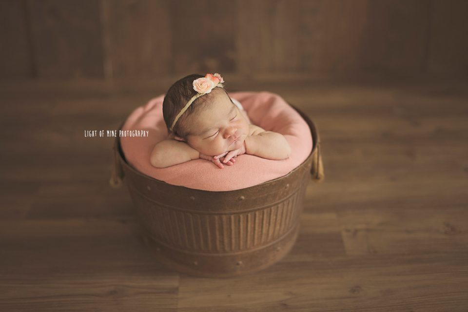 Clay NY Newborn Photographer