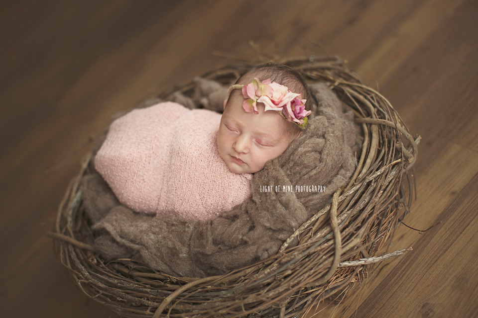 Syracuse NY Newborn Photographer