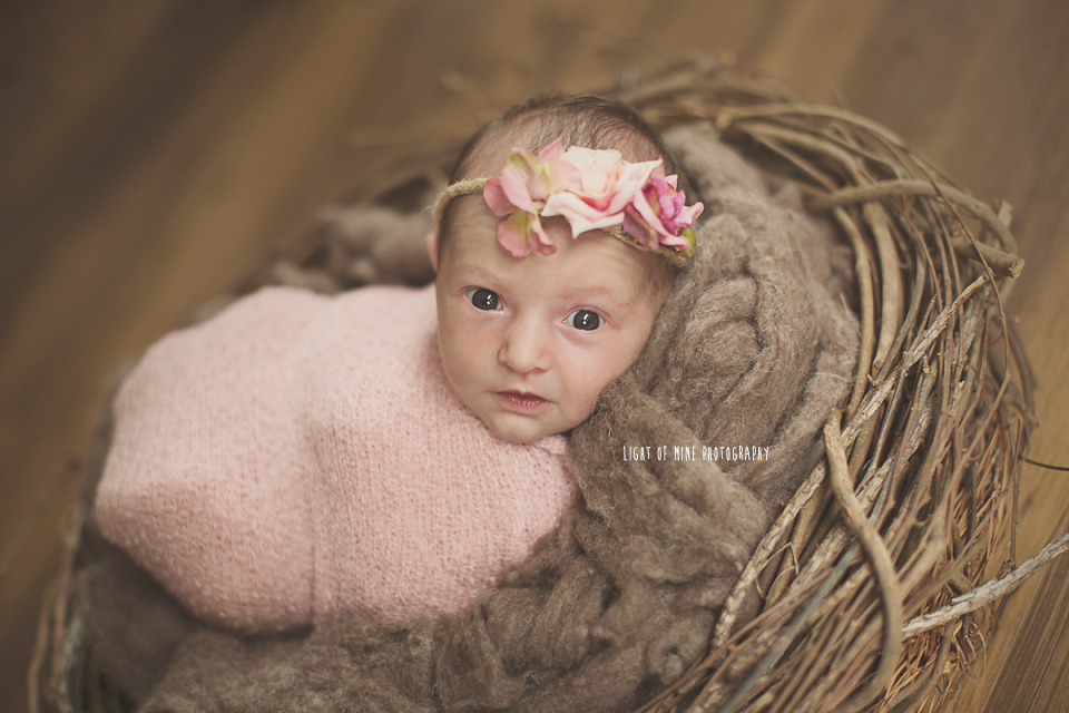 Syracuse NY Newborn Photographer