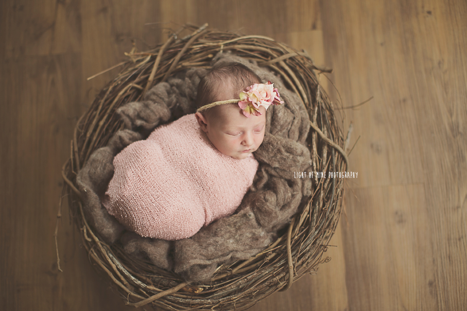 Camden NY Newborn Photographer