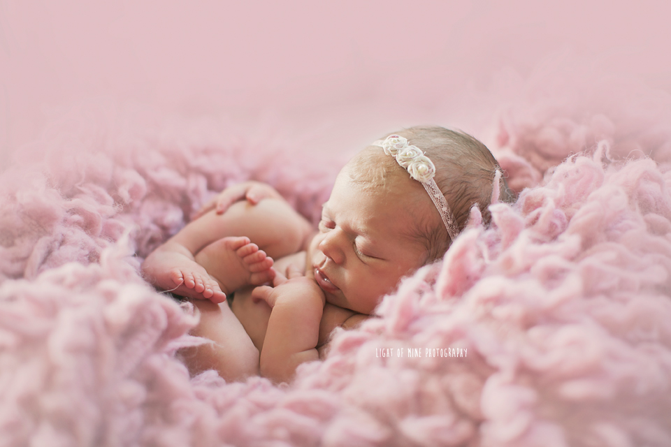 Oneida NY Newborn Photographer