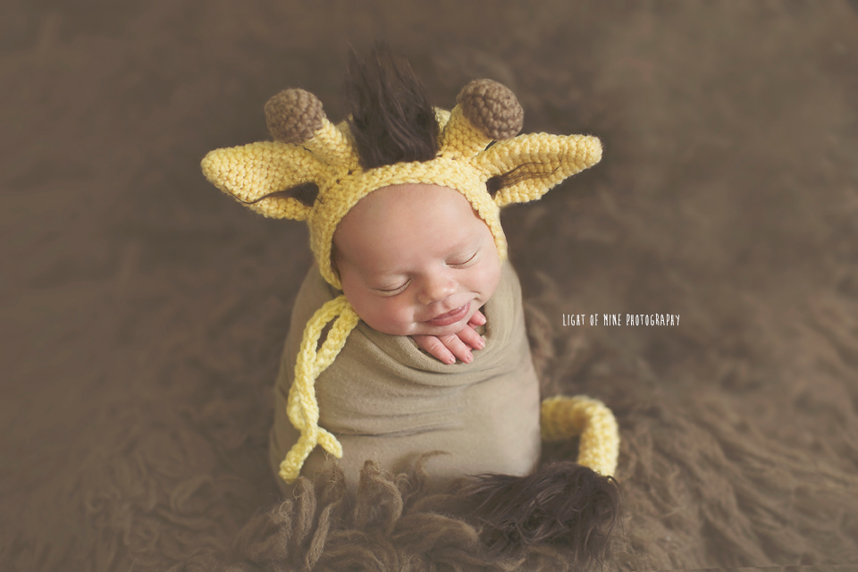 CNY Newborn Photographer