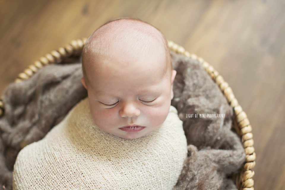 Syracuse NY Newborn Photographer