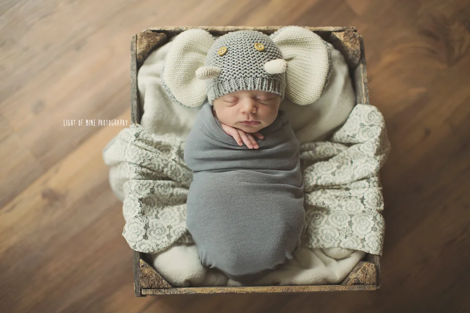 CNY Newborn Photographer