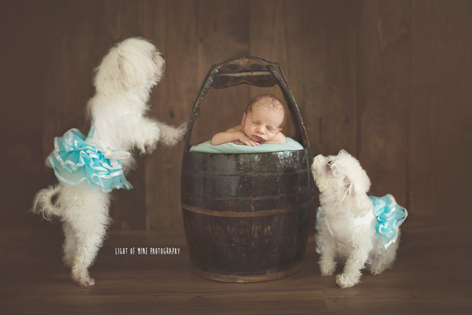 Syracuse NY Newborn Photographer