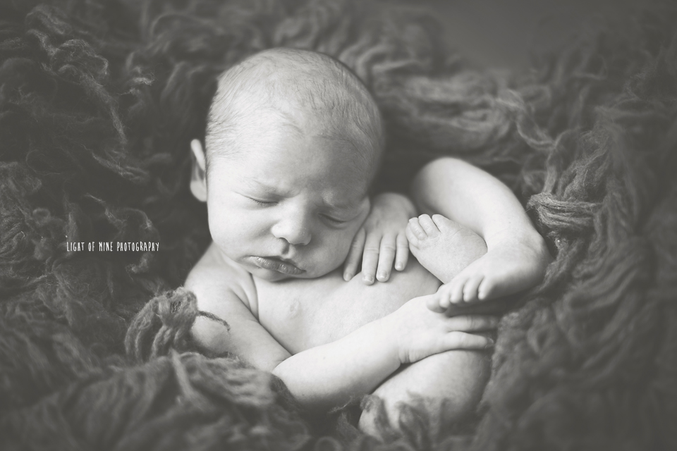 CNY newborn photographer