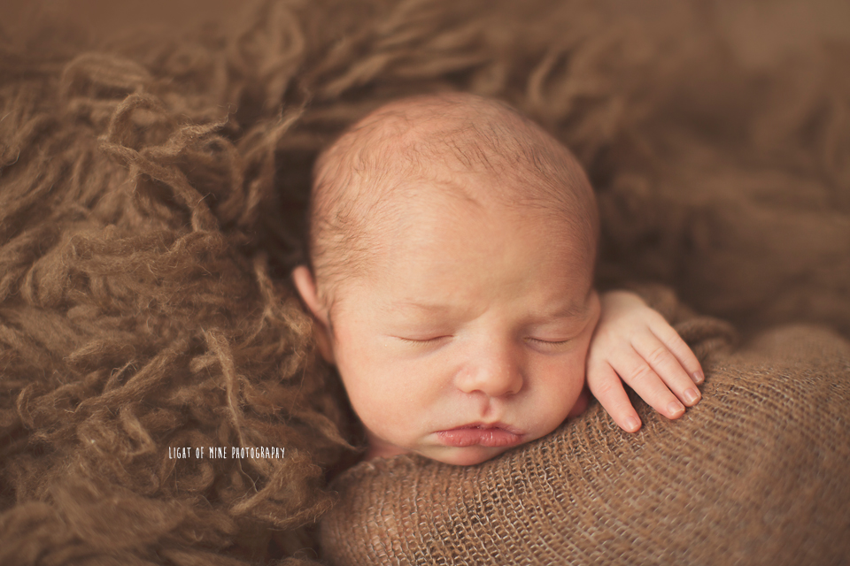 CNY Newborn Photographer