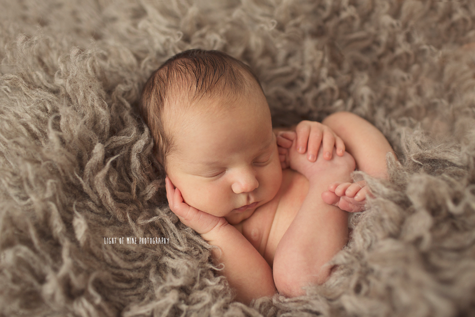 camden newborn photographer