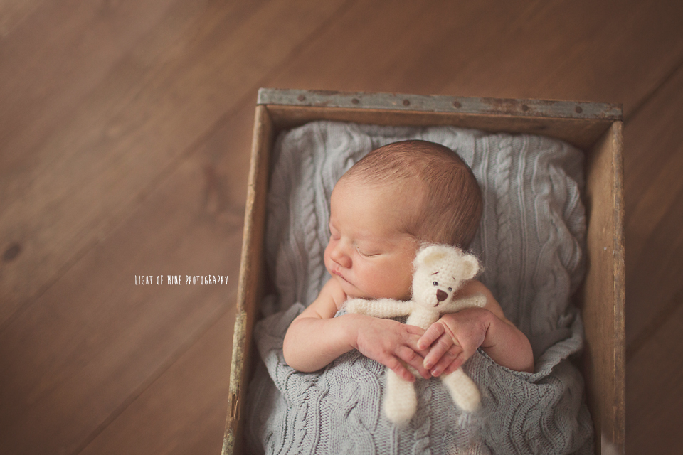 CNY Newborn photographer 