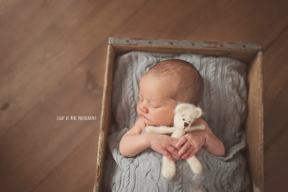 CNY Newborn photographer