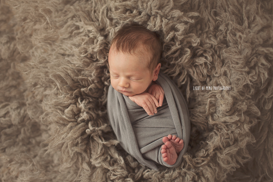 Syracuse NY Newborn Photographer