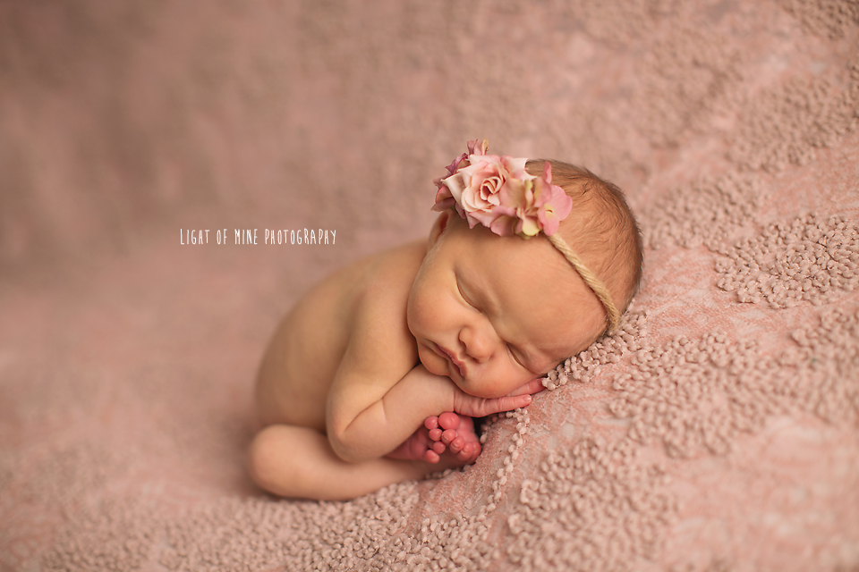 Camden NY Newborn Photographer