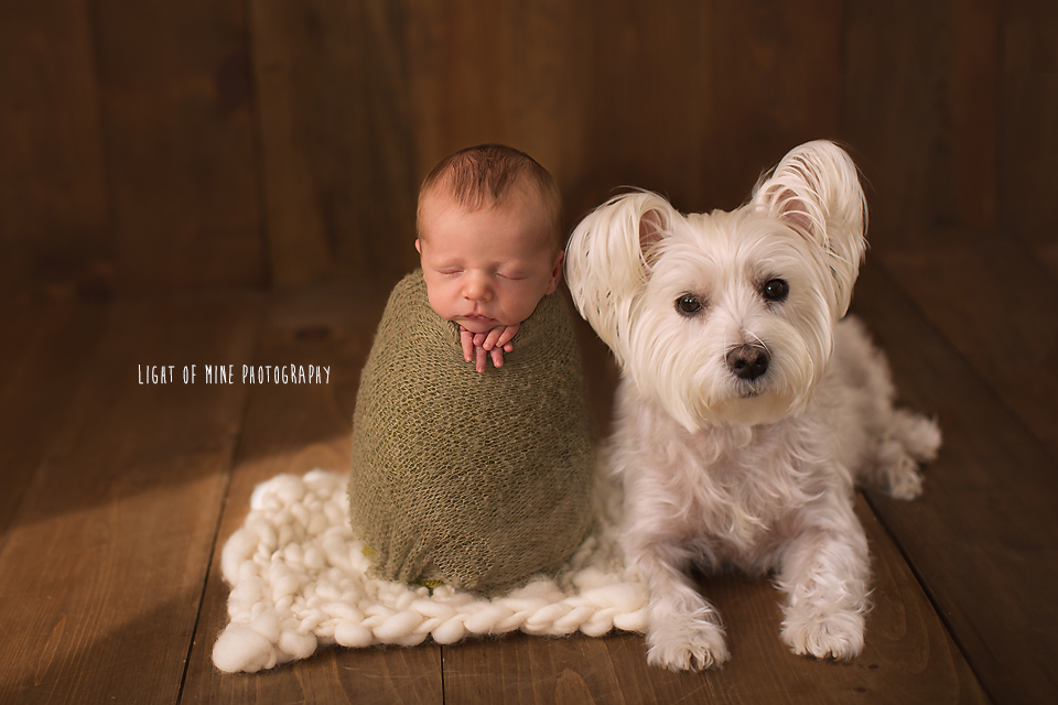 Watertown NY Newborn Photographer