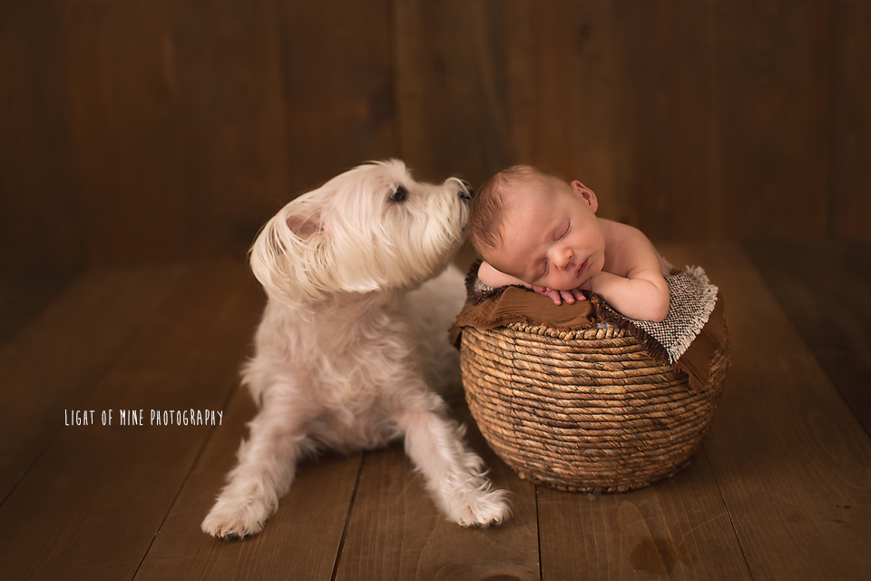 CNY Newborn Photographer