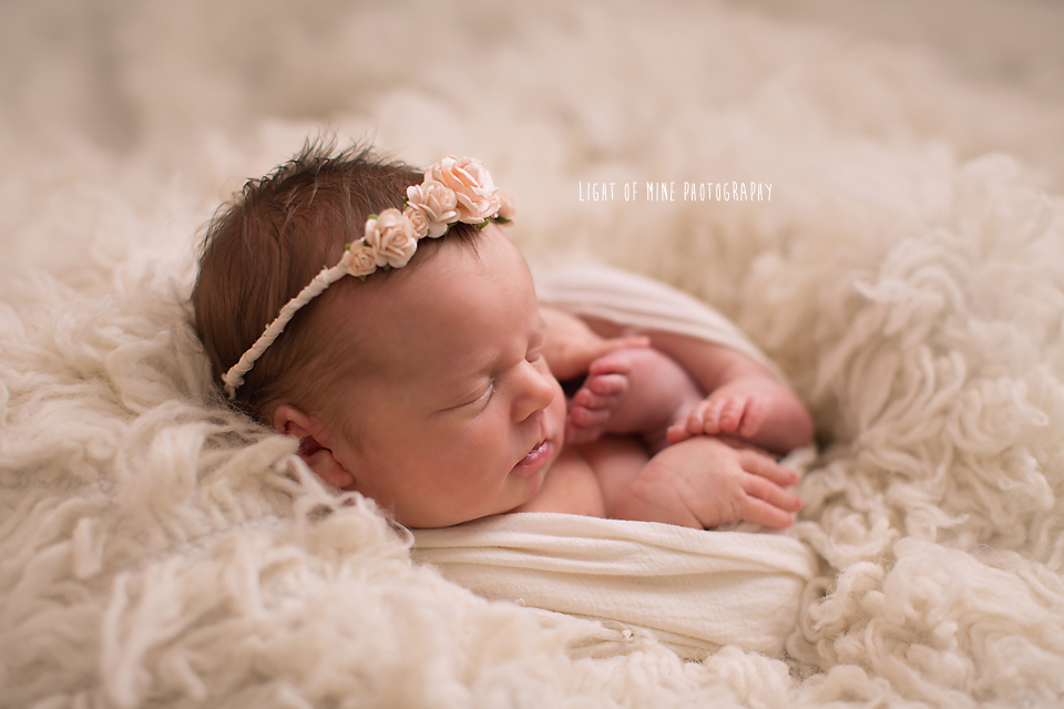 CNY Newborn Photographer 