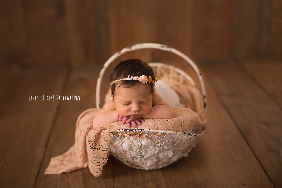 Watertown NY Newborn Photographer