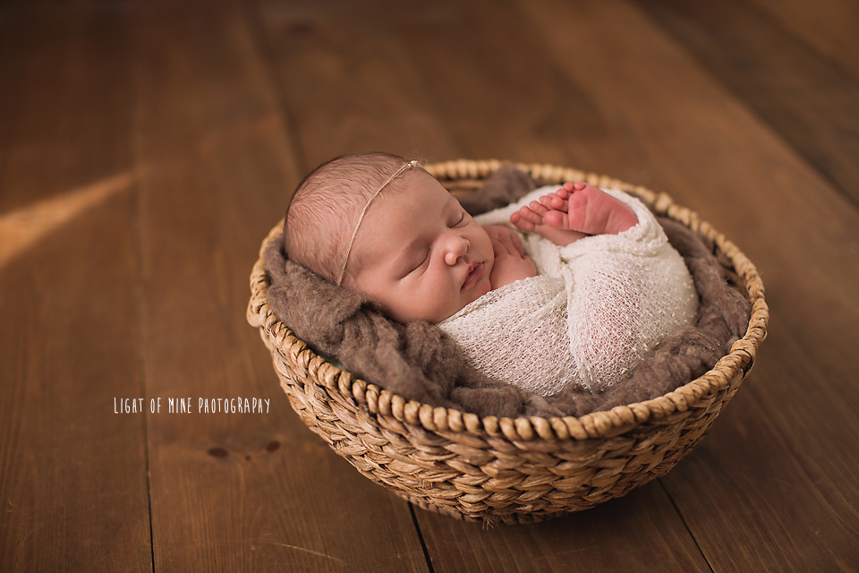 Camden NY Newborn Photographer