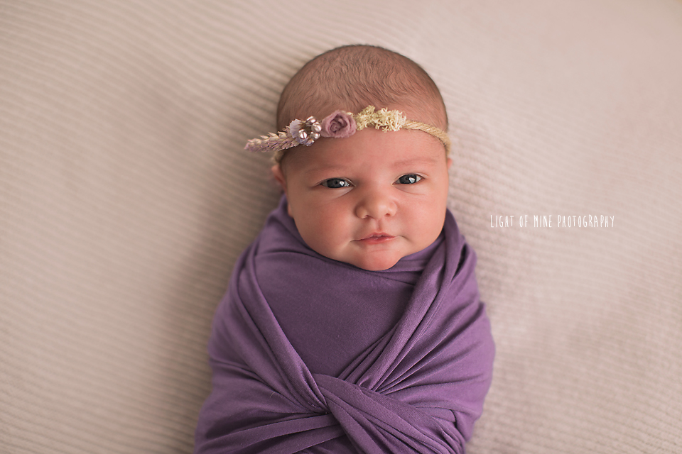 Syracuse NY Newborn Photographer