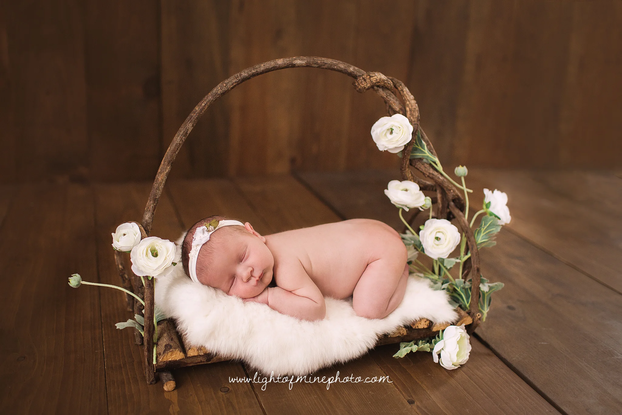 Syracuse NY Newborn Photographer