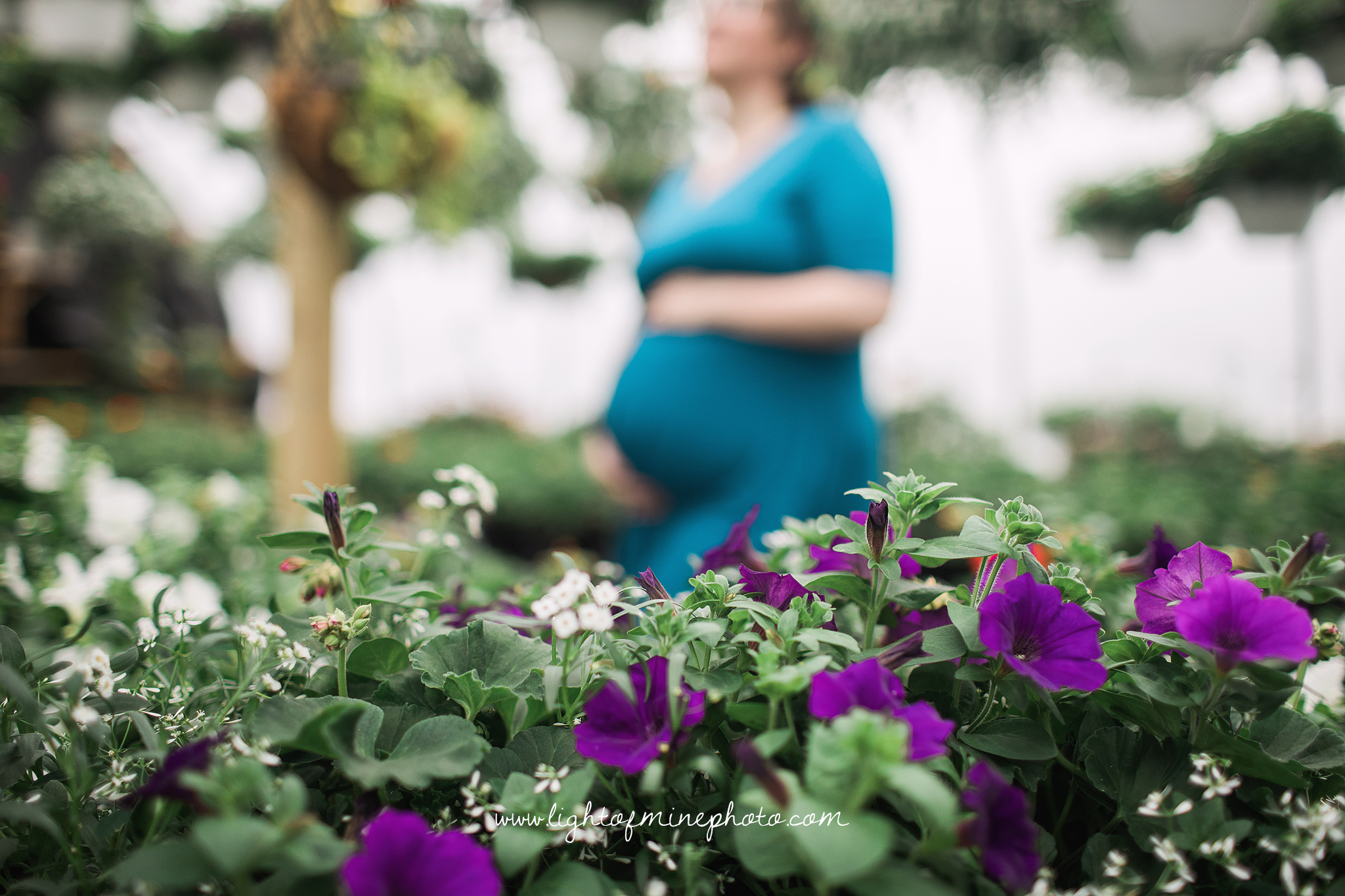Oswego NY Maternity Photographer