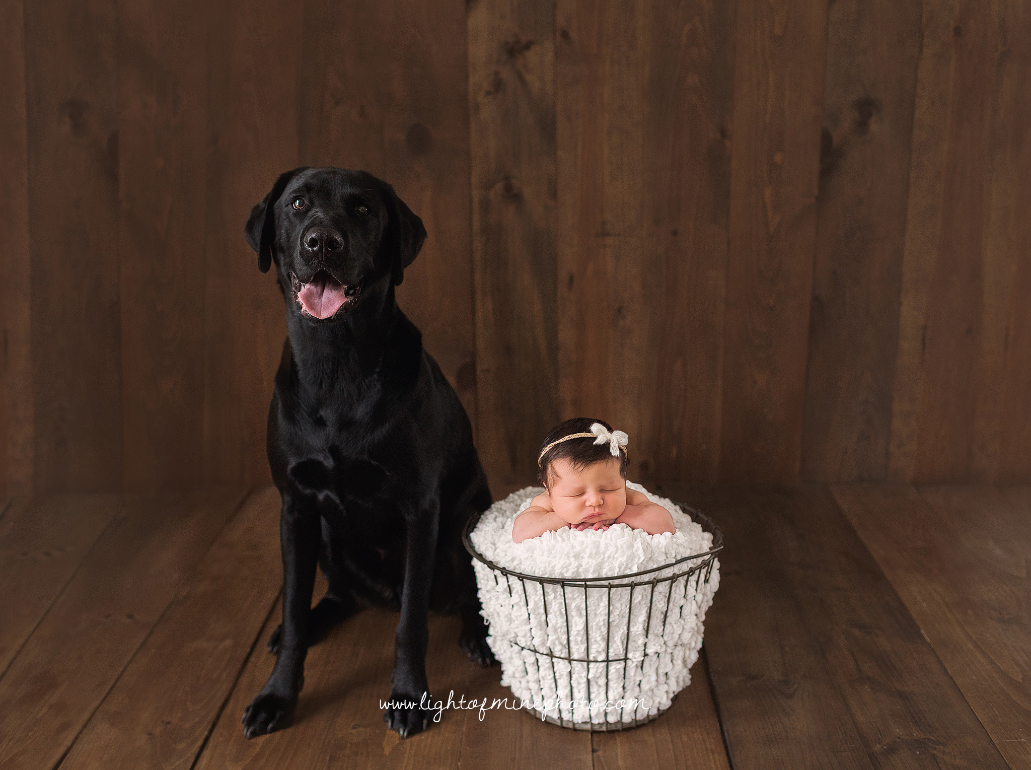 CNY Newborn Photographer