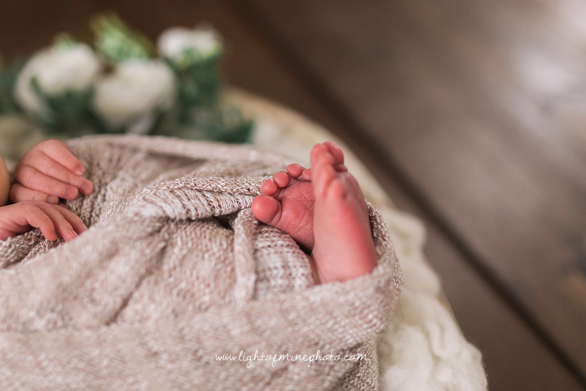 Syracuse NY Newborn Photographer
