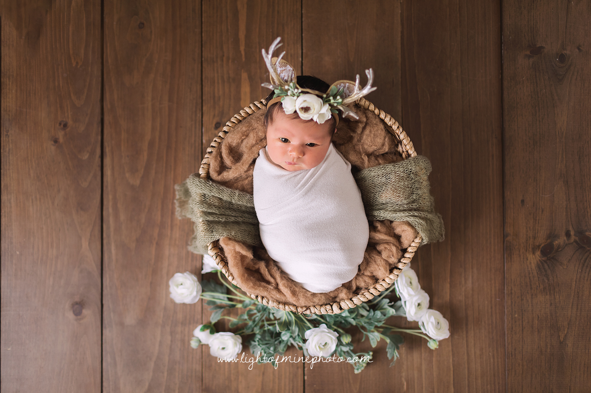 Oneida NY Newborn Photographer