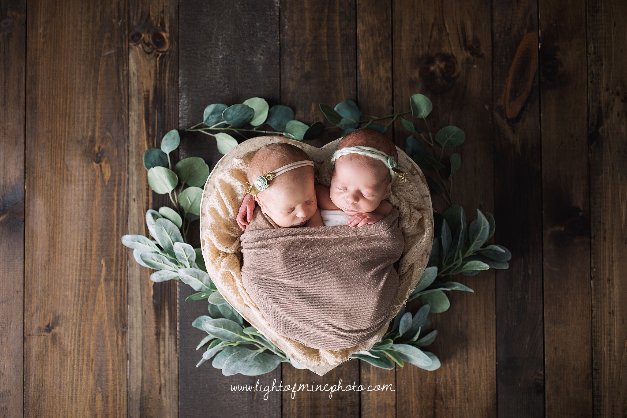 Syracuse NY Newborn Photographer