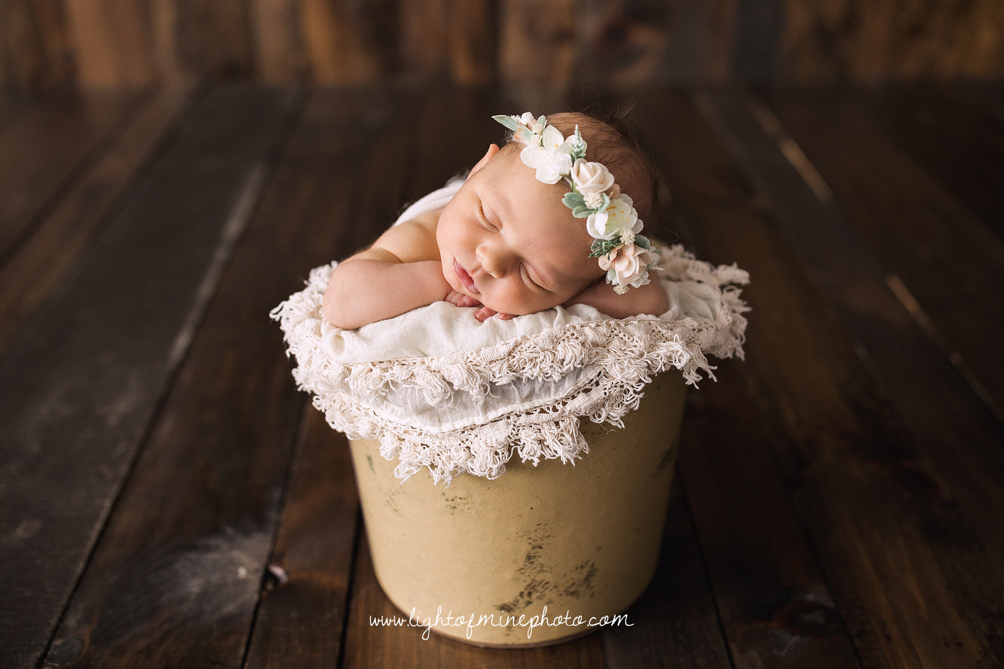 CNY Newborn Photographer