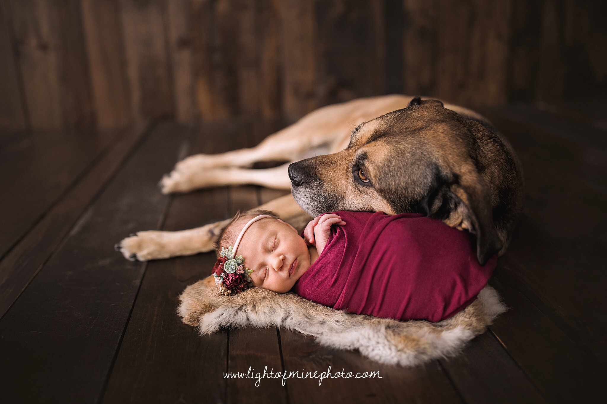 Oneida NY Newborn Photographer