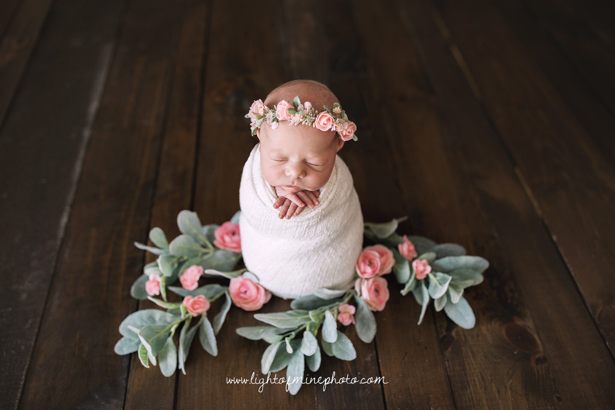 Cicero NY Newborn photographer 