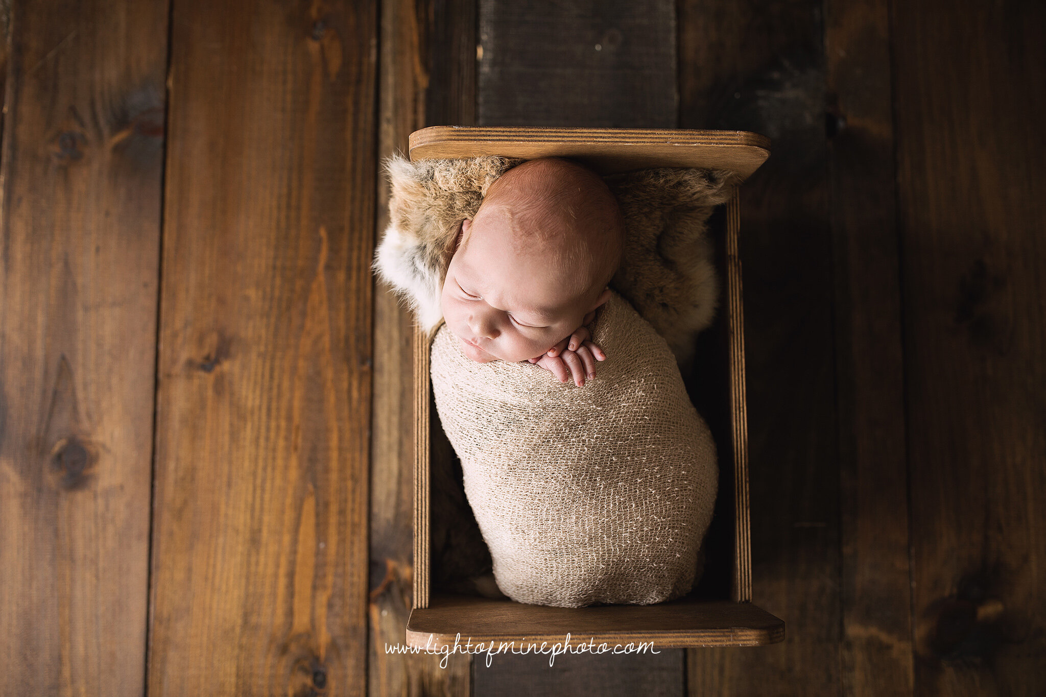 Rome NY Newborn Photographer