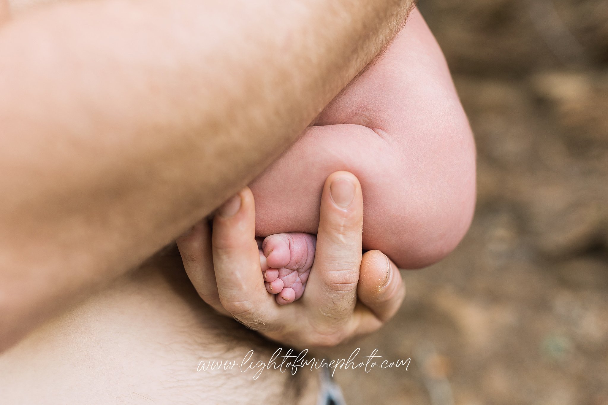Jonesborough TN Newborn Photographer