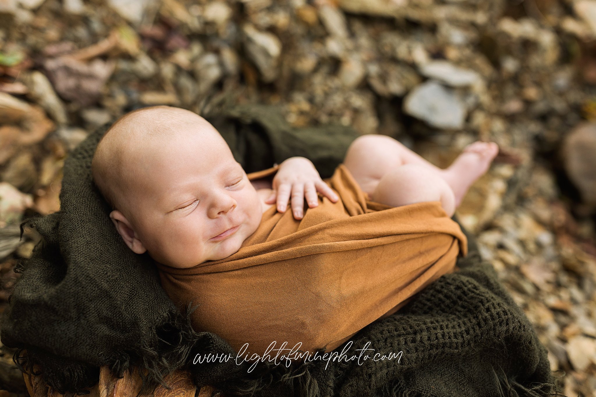 Knoxville TN Newborn Photographer
