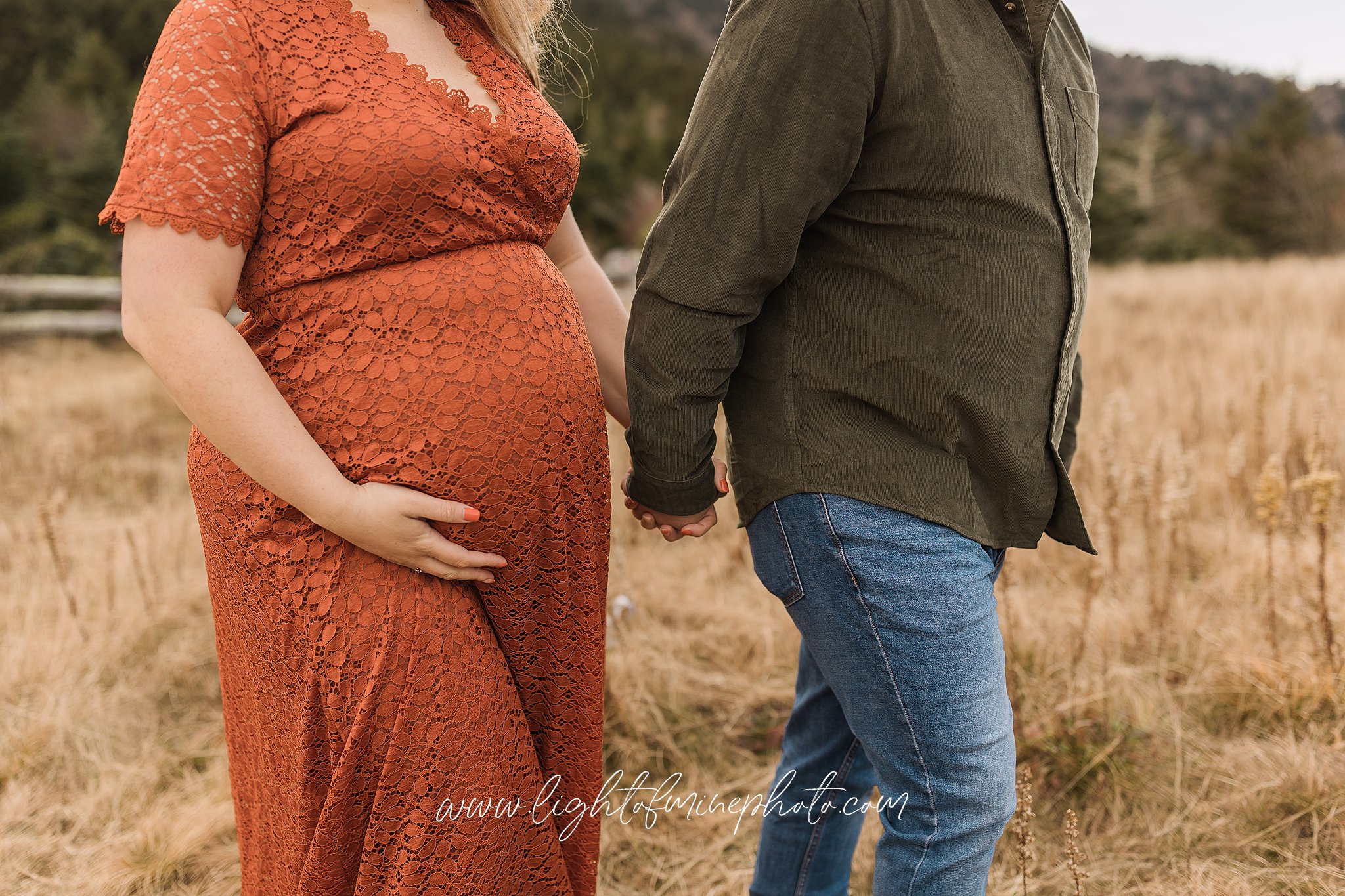 Johnson City TN Maternity Photographer