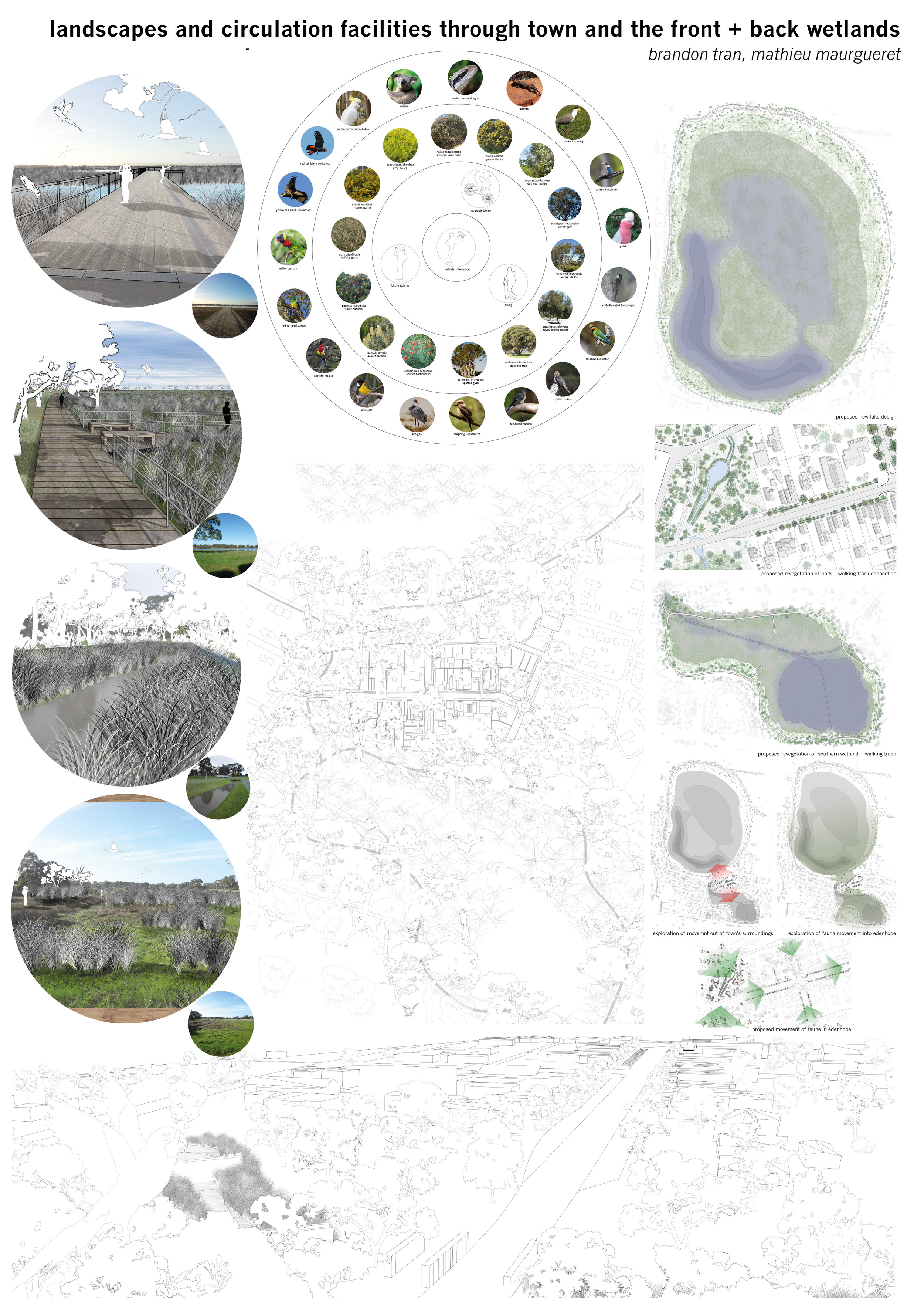 A system of decking, seating and bird watching facilities are proposed to connect people with the wetlands to the north and south of Edenhope.