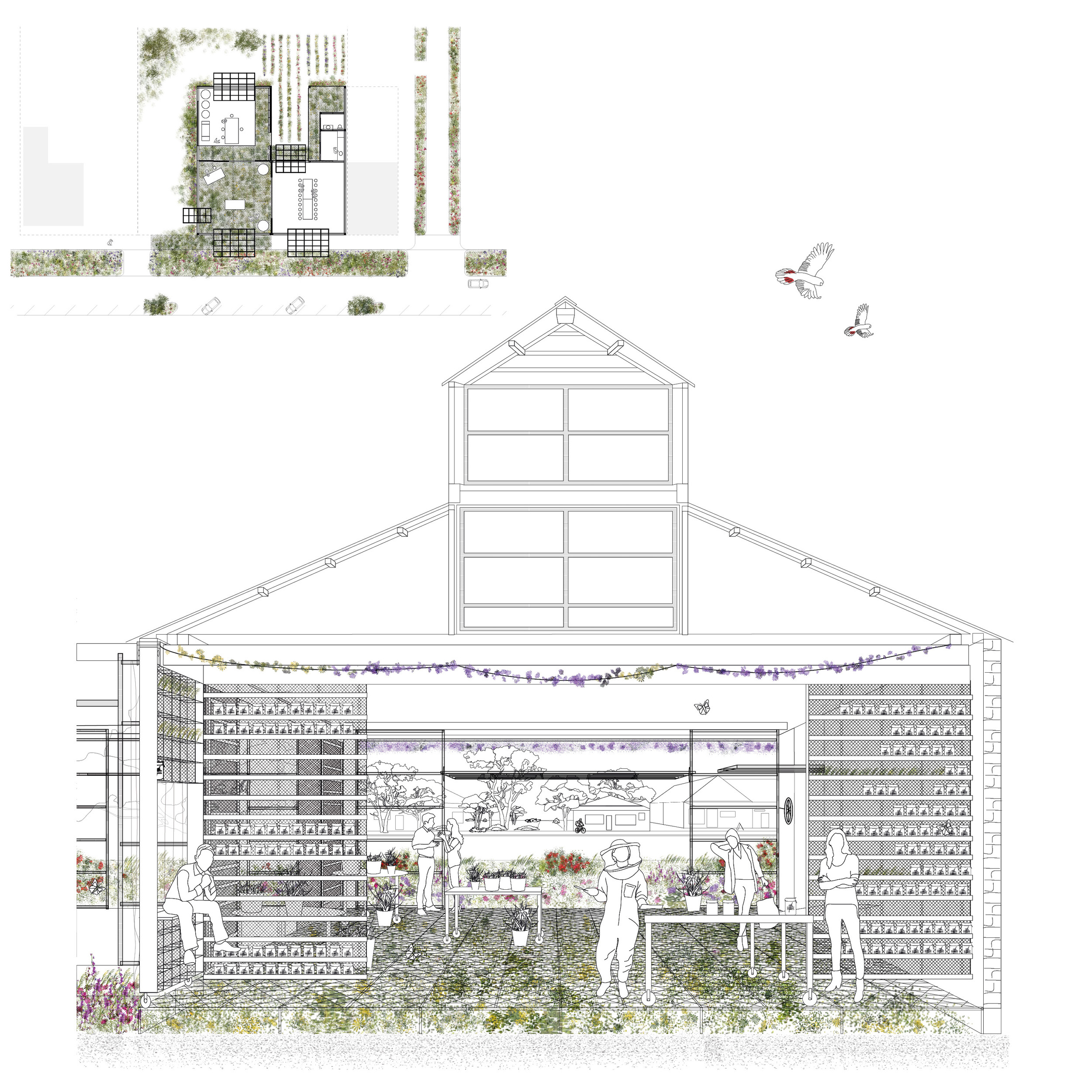 The open plots and street spaces of Goroke are transformed into an urban meadow of wild flowers and nectar producing flora supporting a commercial apiary and micro cider brewing facility run by the Goroke Hotel.