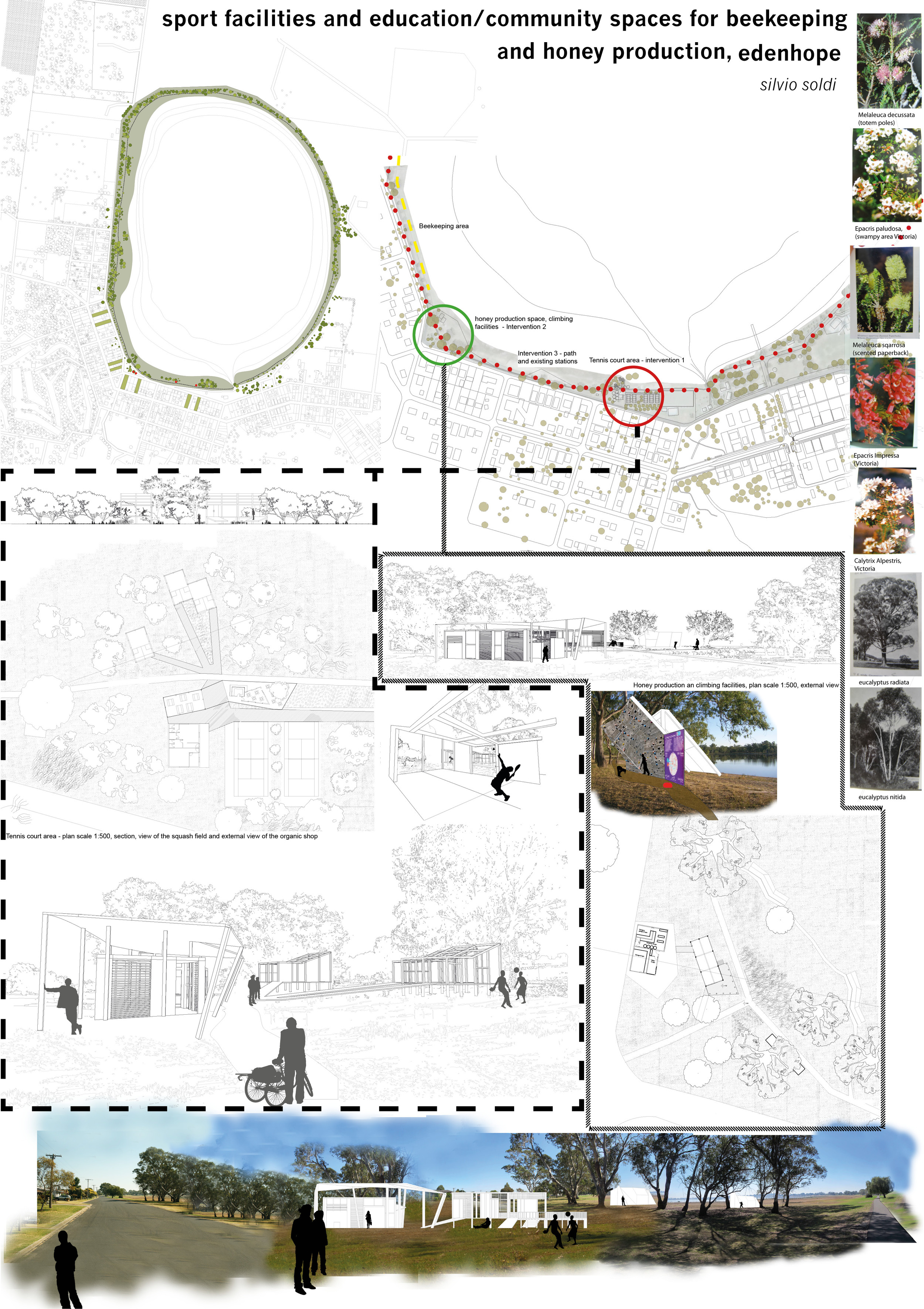 A series of health and activity interventions along the lake are vegetated with floral and nectar producing species which supports a local apiary and honey production economy.