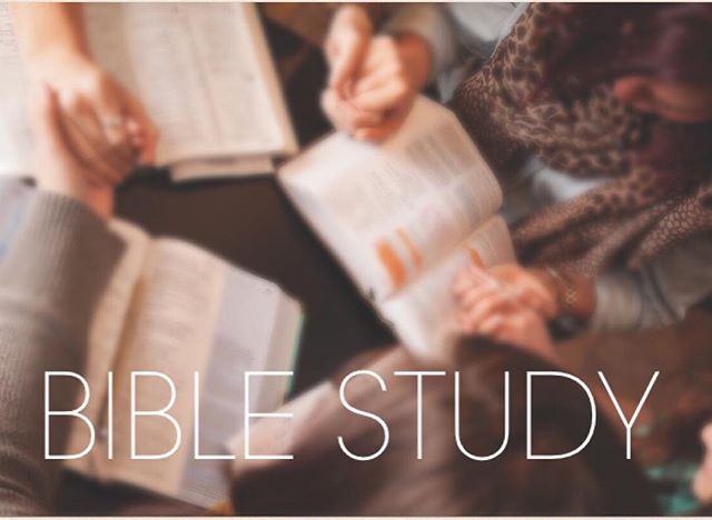 Happy Monday !! Hope your Monday went well. Just wanted to remind all the youth that there will be a bible study for the youth Tommorrow night at 8 pm at church!! See you there !!