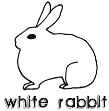 whiterabbit.png