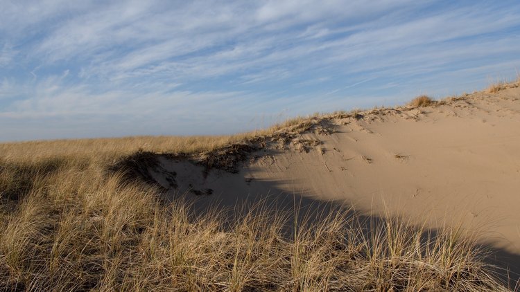 Jordy Brazo, In Order for a Dune to Form